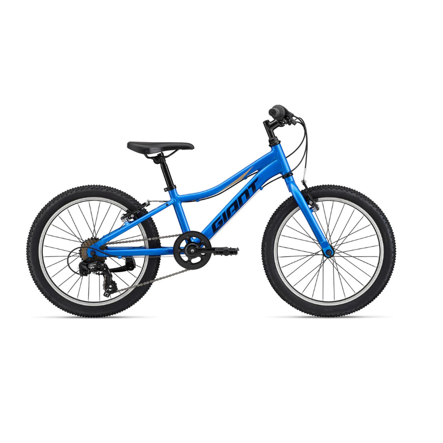 Giant XTC Junior 20 Inch Bicycle Azure Blue